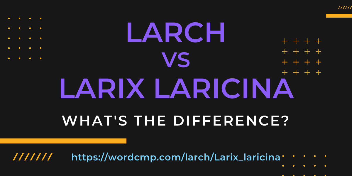 Difference between larch and Larix laricina