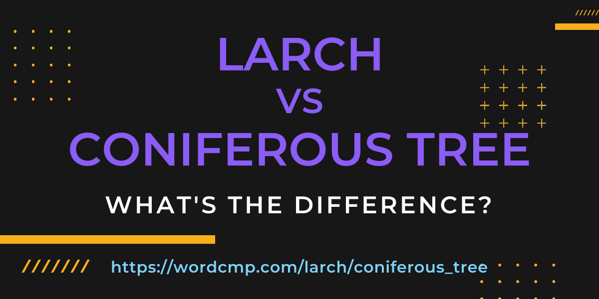 Difference between larch and coniferous tree