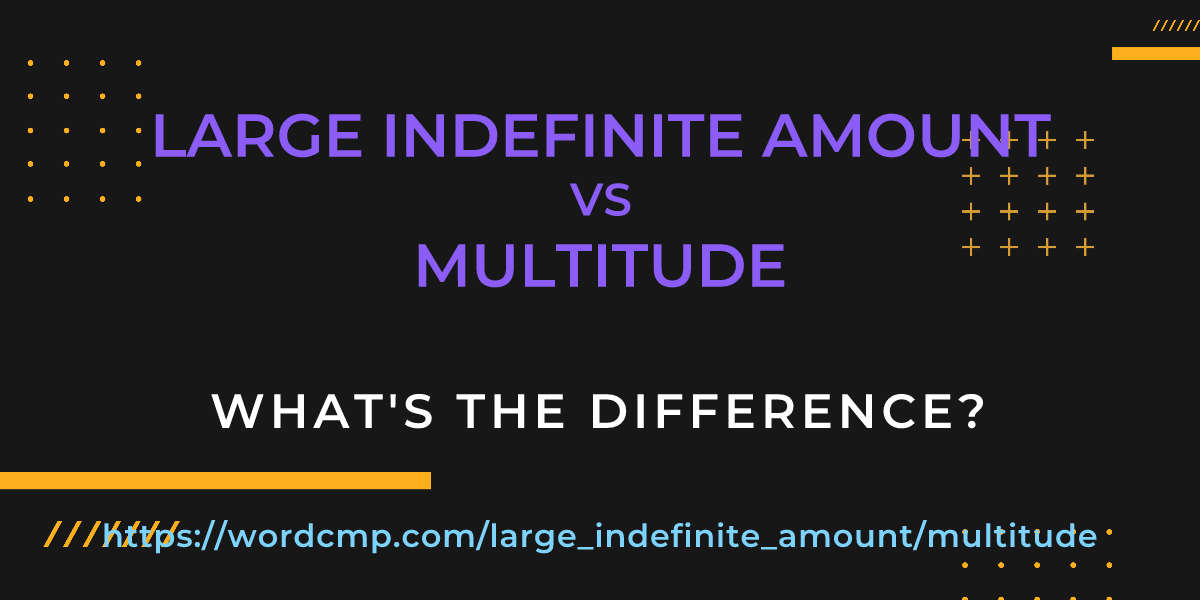 Difference between large indefinite amount and multitude