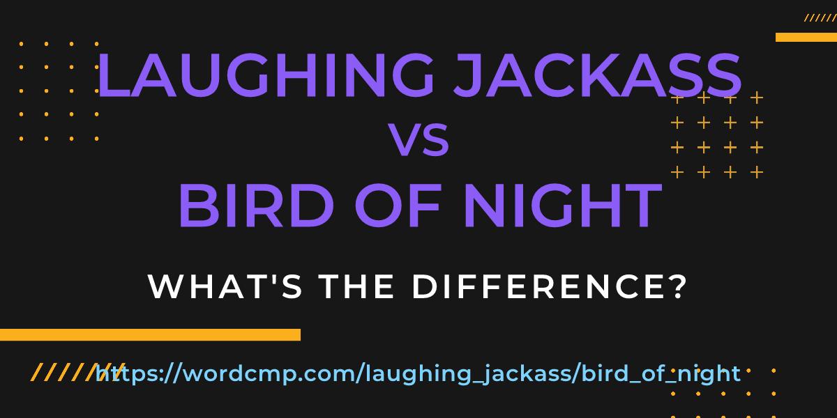 Difference between laughing jackass and bird of night