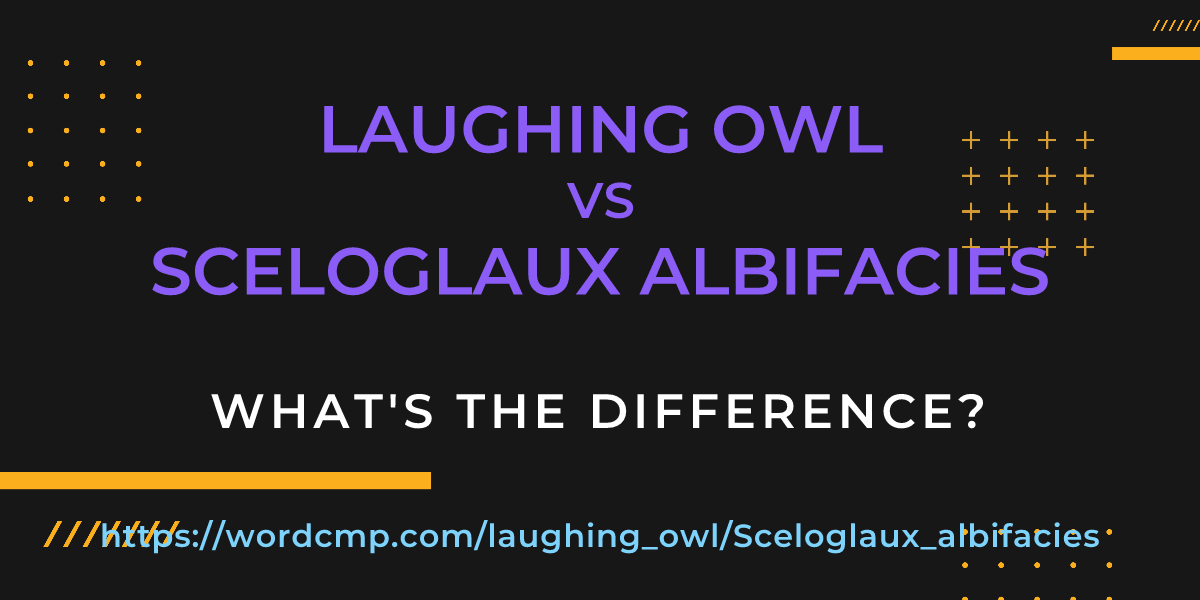 Difference between laughing owl and Sceloglaux albifacies