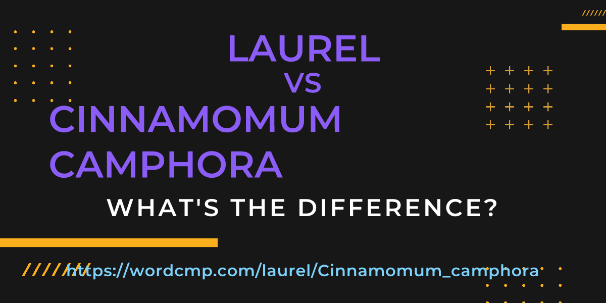 Difference between laurel and Cinnamomum camphora