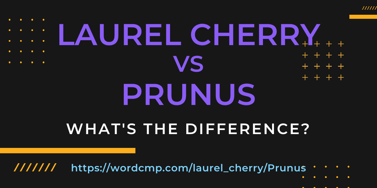Difference between laurel cherry and Prunus