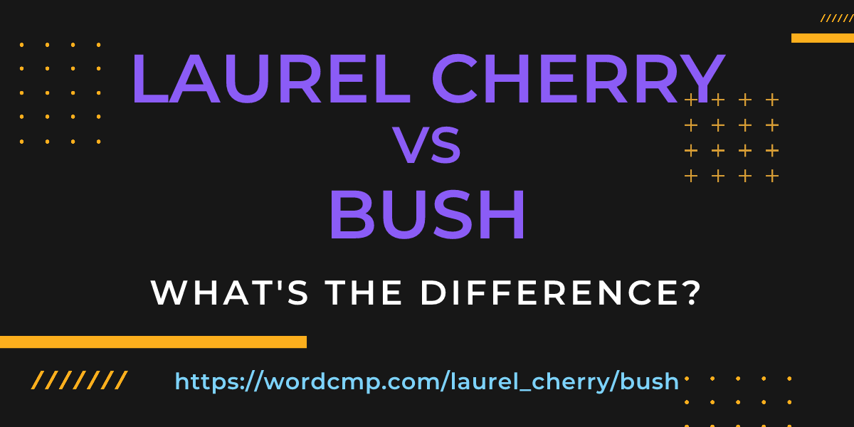 Difference between laurel cherry and bush