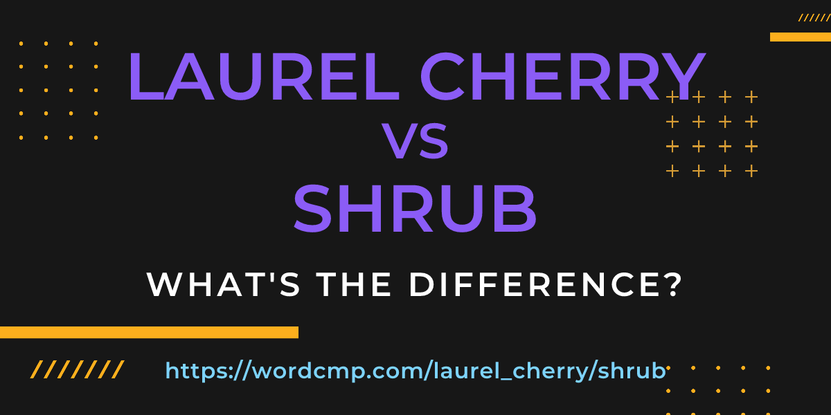Difference between laurel cherry and shrub
