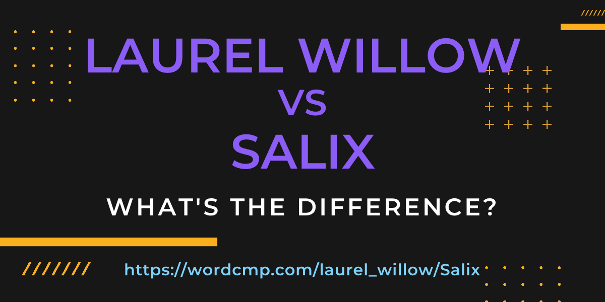 Difference between laurel willow and Salix