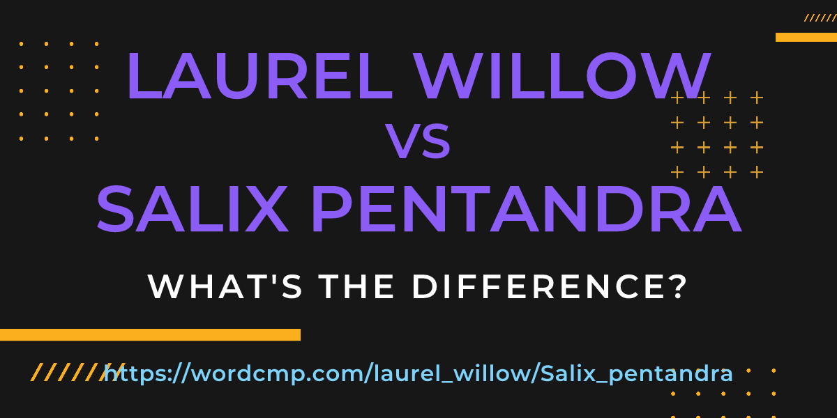 Difference between laurel willow and Salix pentandra
