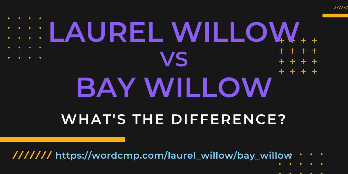 Difference between laurel willow and bay willow