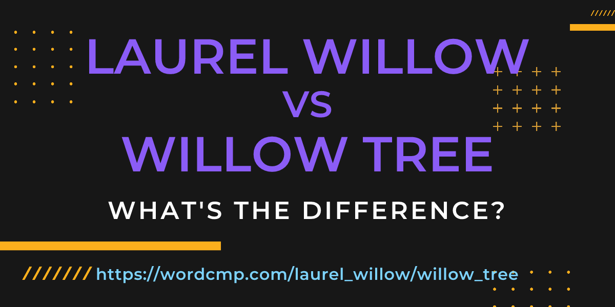 Difference between laurel willow and willow tree