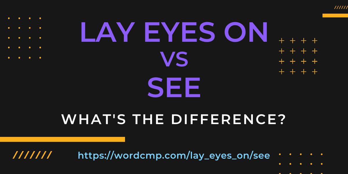 Difference between lay eyes on and see