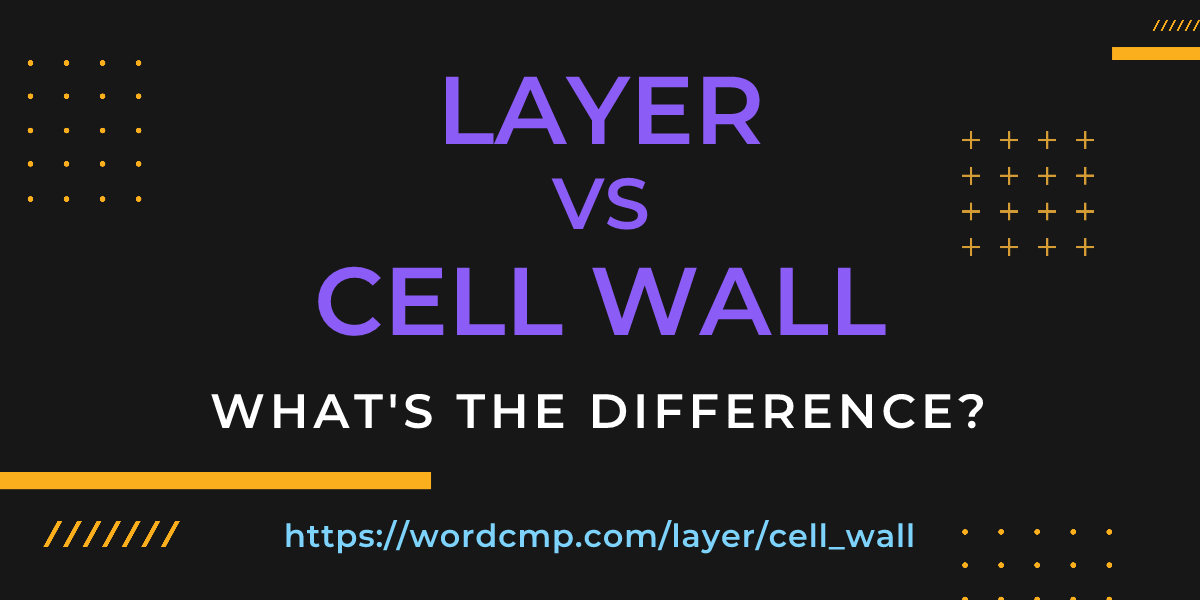 Difference between layer and cell wall