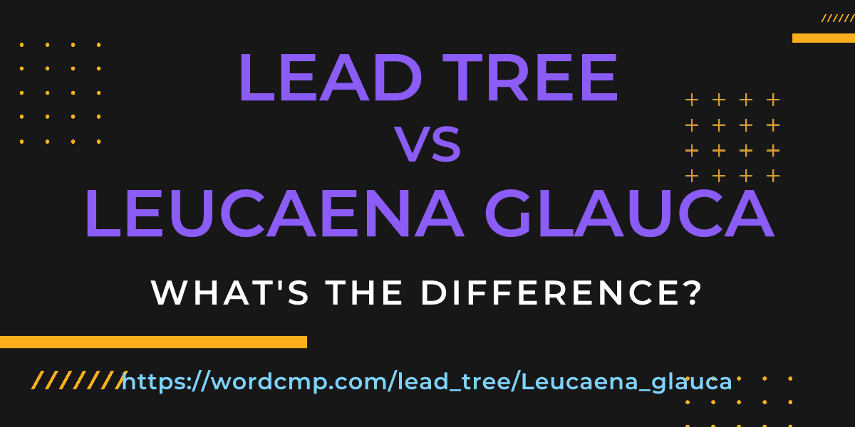Difference between lead tree and Leucaena glauca