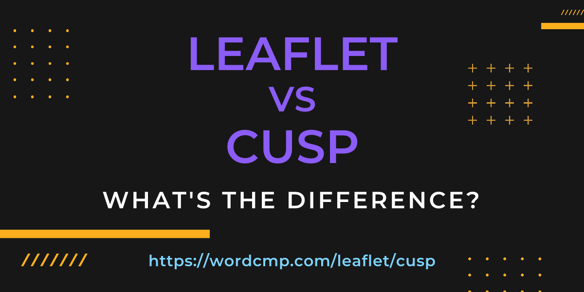 Difference between leaflet and cusp