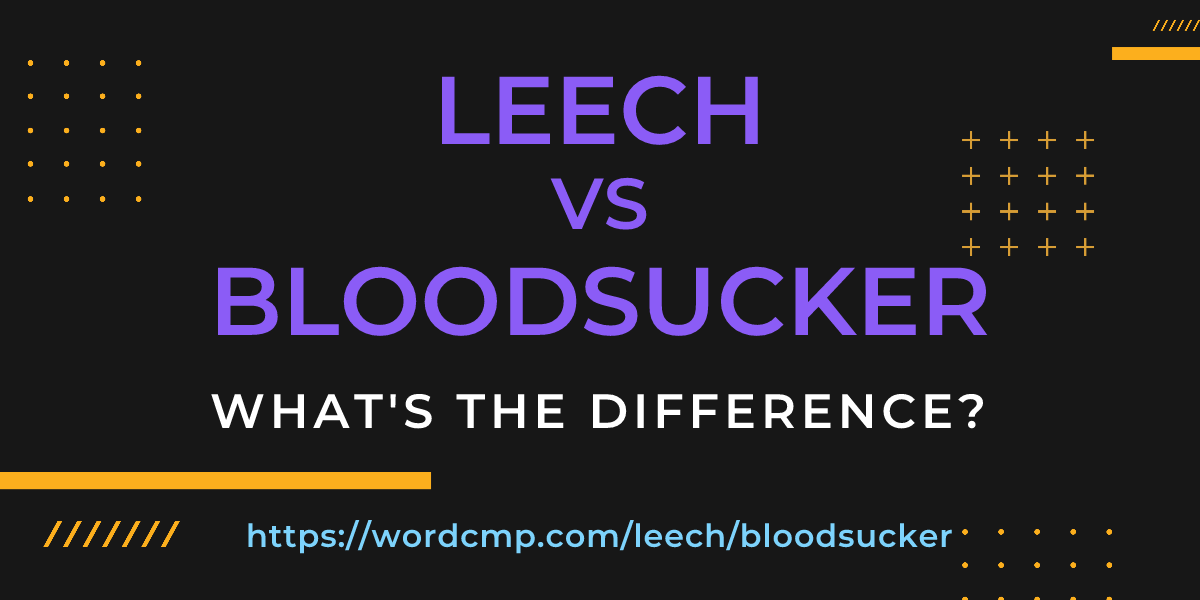 Difference between leech and bloodsucker
