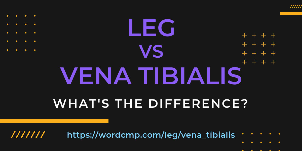 Difference between leg and vena tibialis