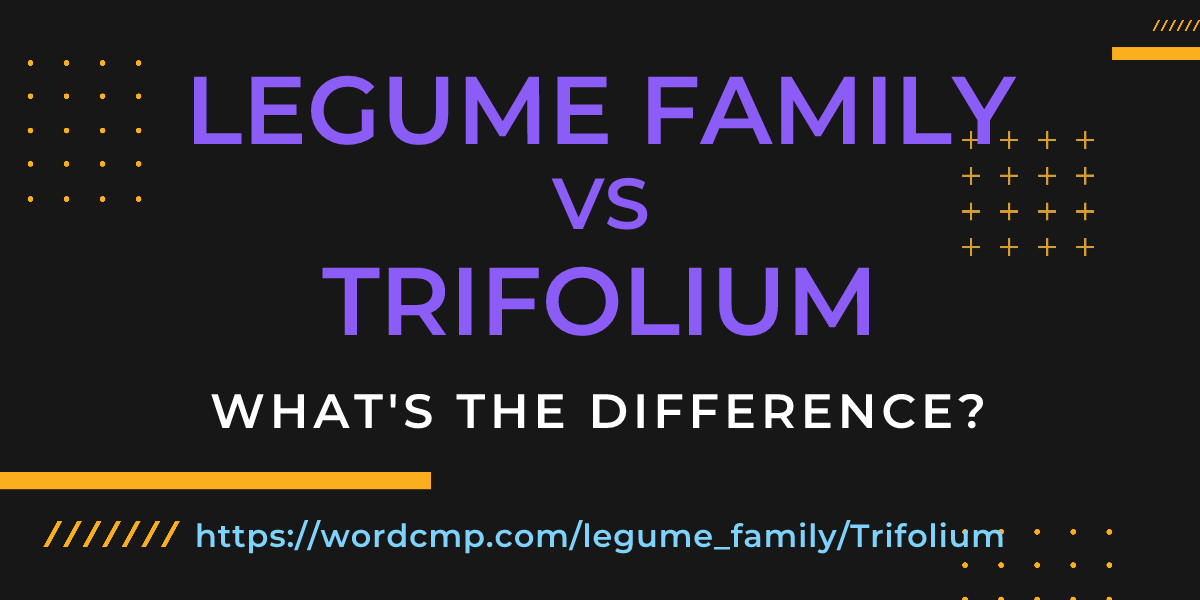 Difference between legume family and Trifolium
