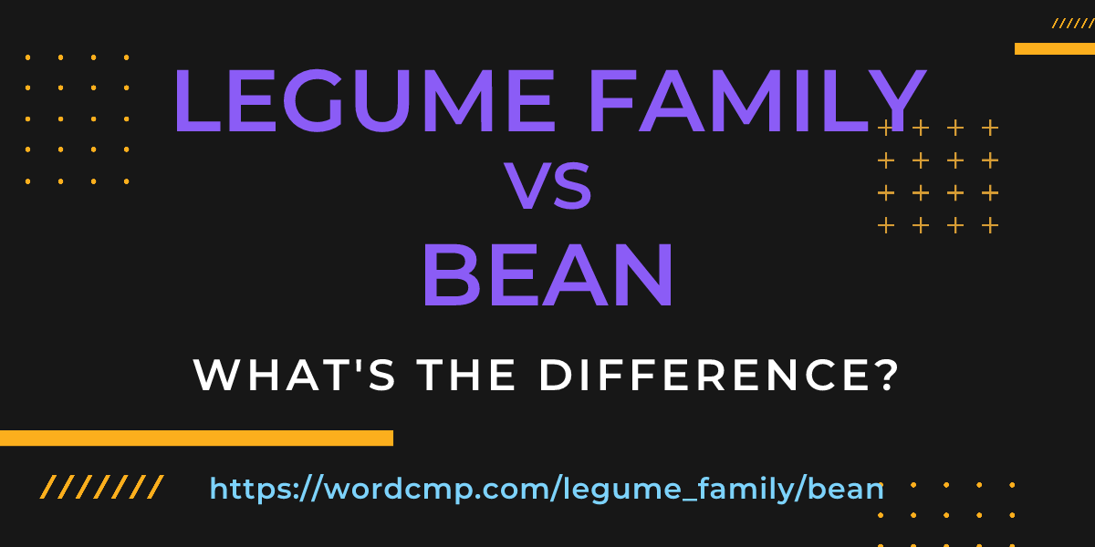 Difference between legume family and bean