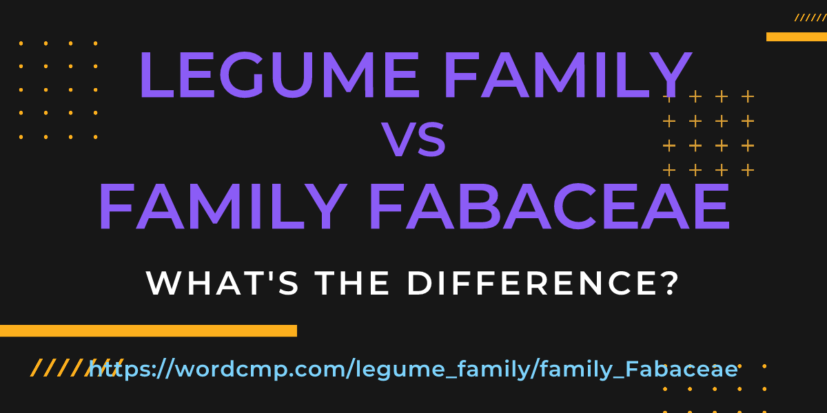Difference between legume family and family Fabaceae