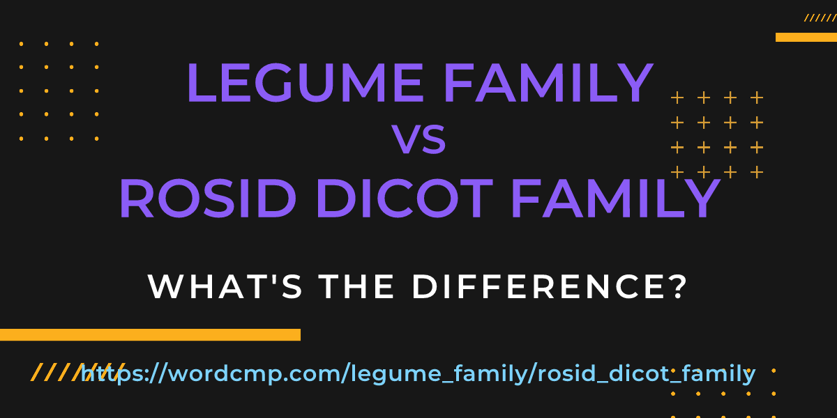 Difference between legume family and rosid dicot family