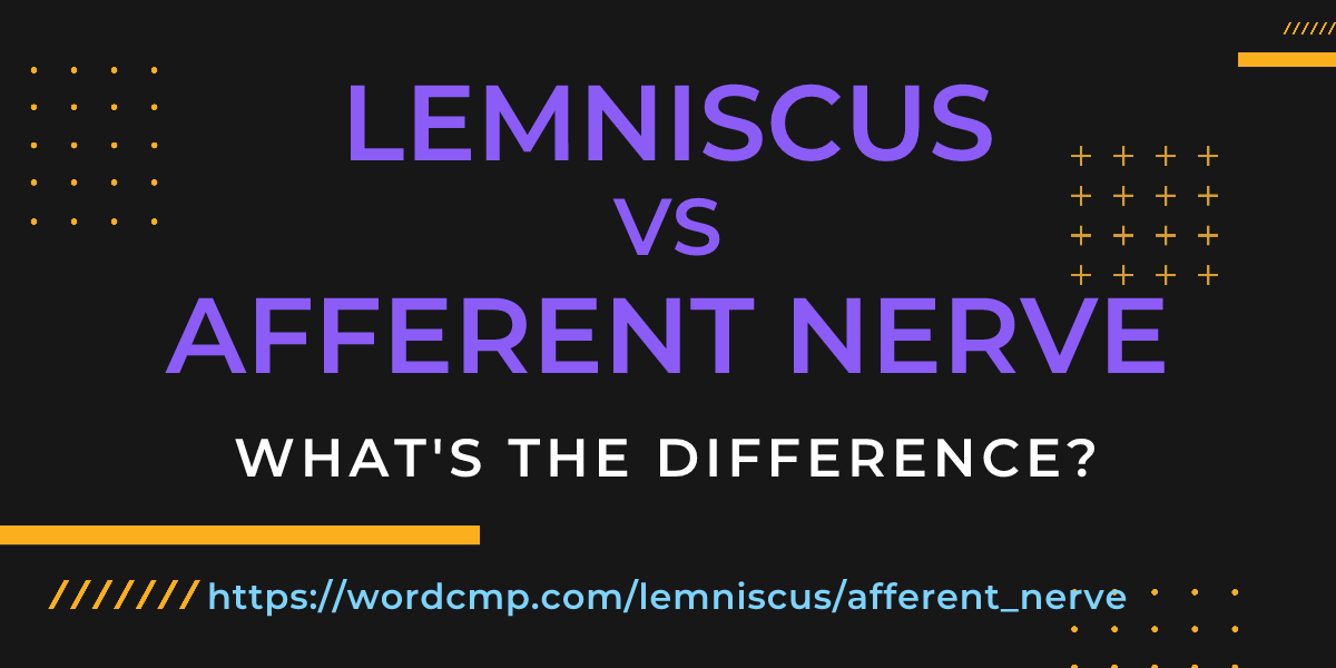 Difference between lemniscus and afferent nerve
