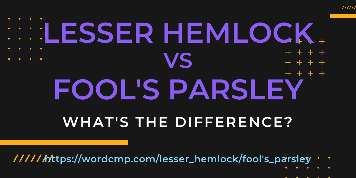 Difference between lesser hemlock and fool's parsley