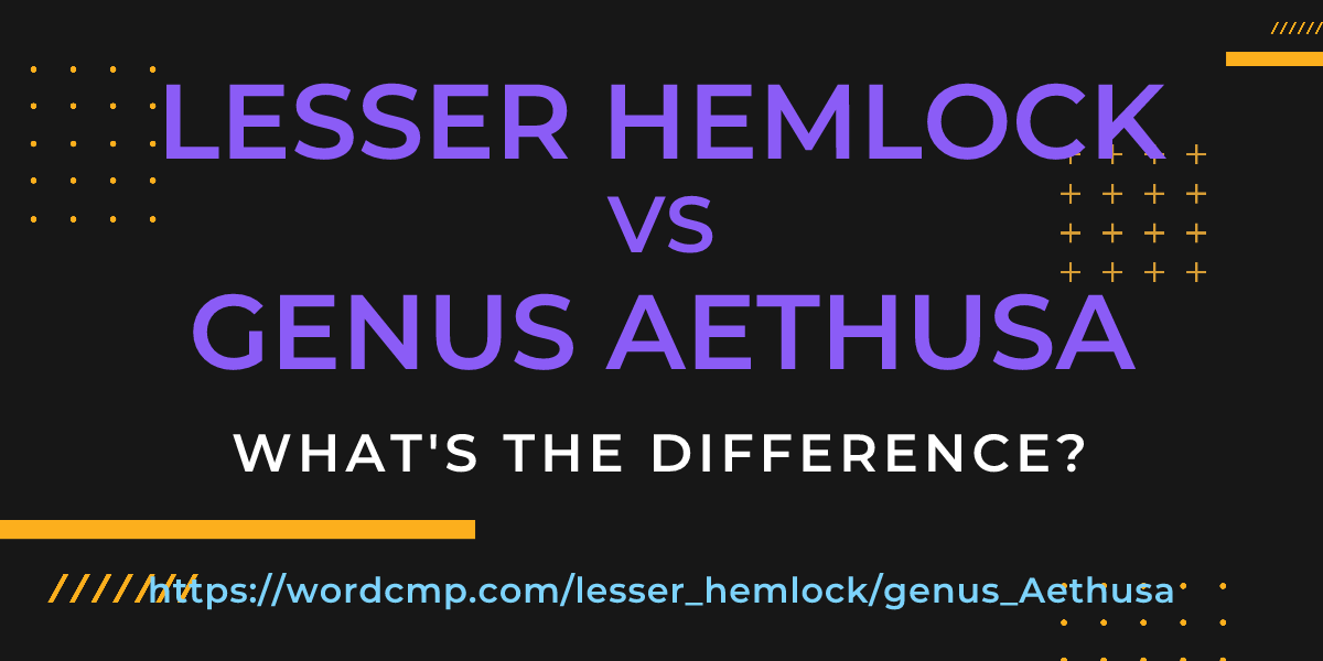 Difference between lesser hemlock and genus Aethusa