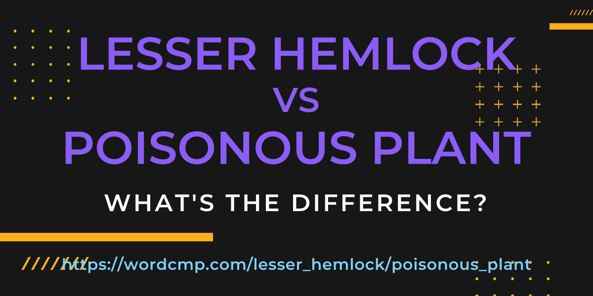Difference between lesser hemlock and poisonous plant