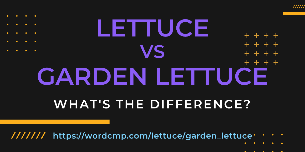 Difference between lettuce and garden lettuce