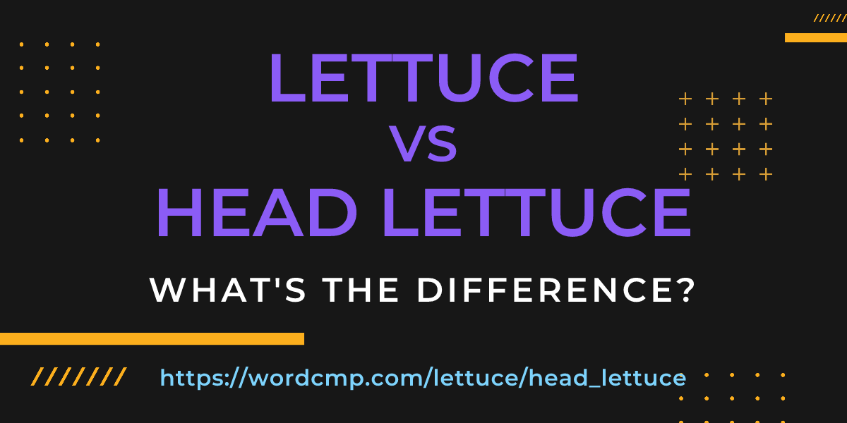 Difference between lettuce and head lettuce