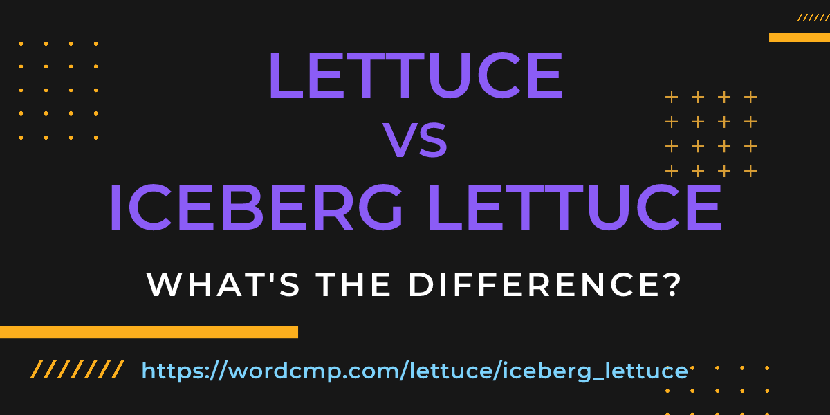 Difference between lettuce and iceberg lettuce