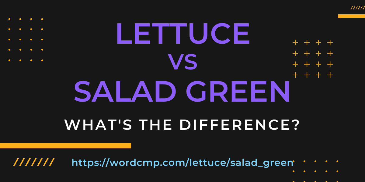 Difference between lettuce and salad green