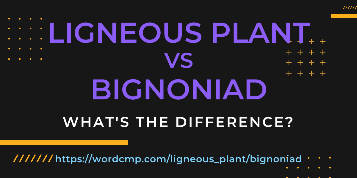 Difference between ligneous plant and bignoniad