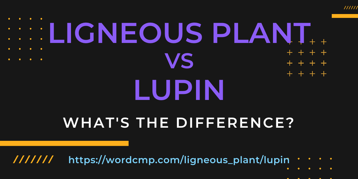 Difference between ligneous plant and lupin