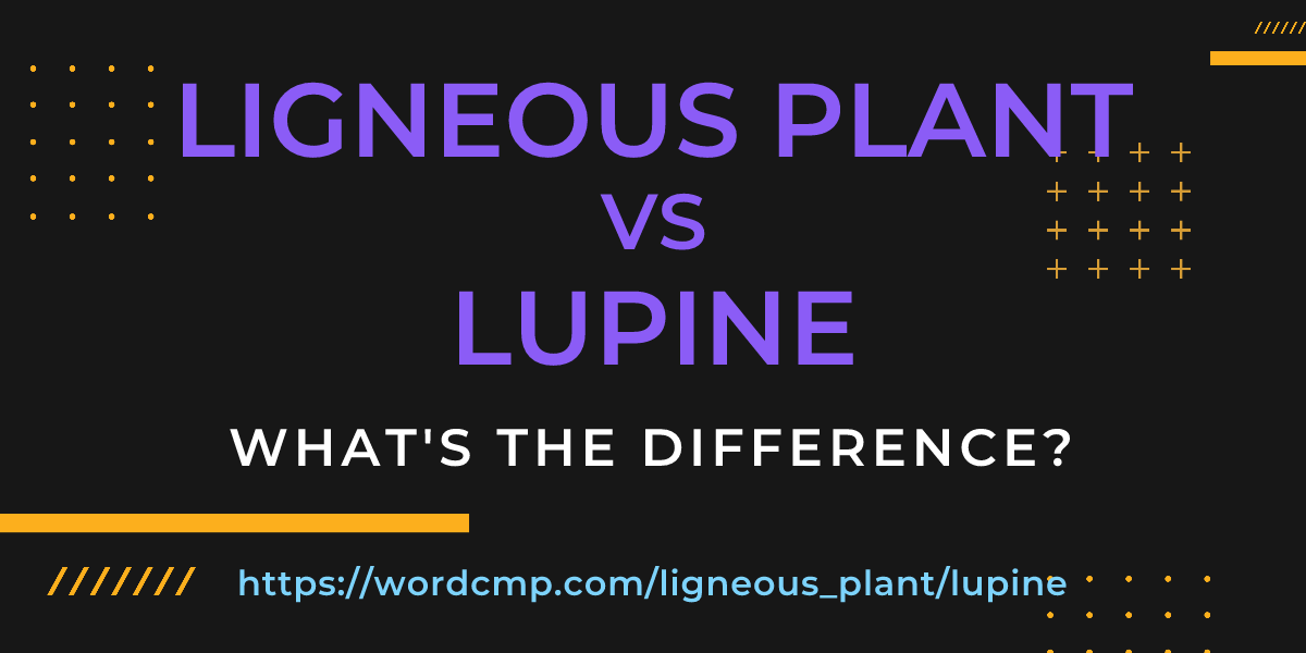 Difference between ligneous plant and lupine