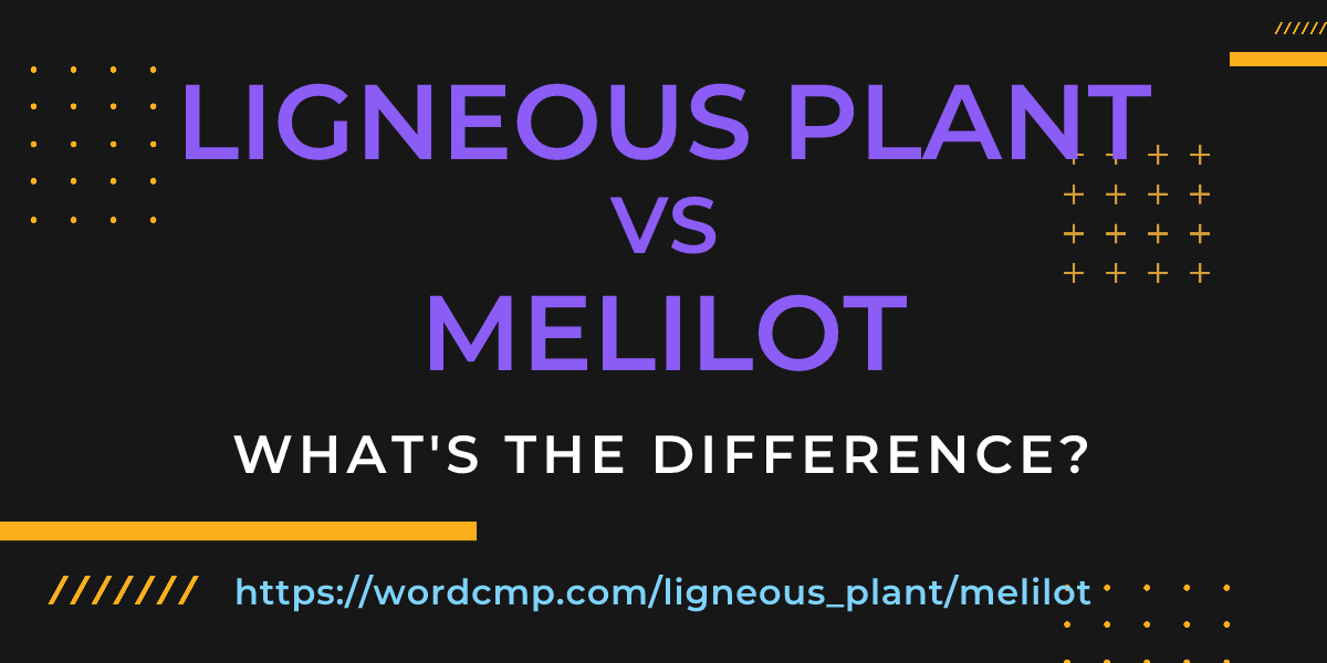 Difference between ligneous plant and melilot