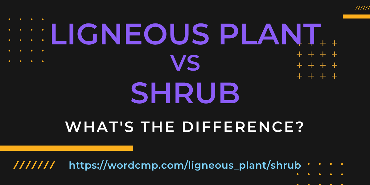 Difference between ligneous plant and shrub