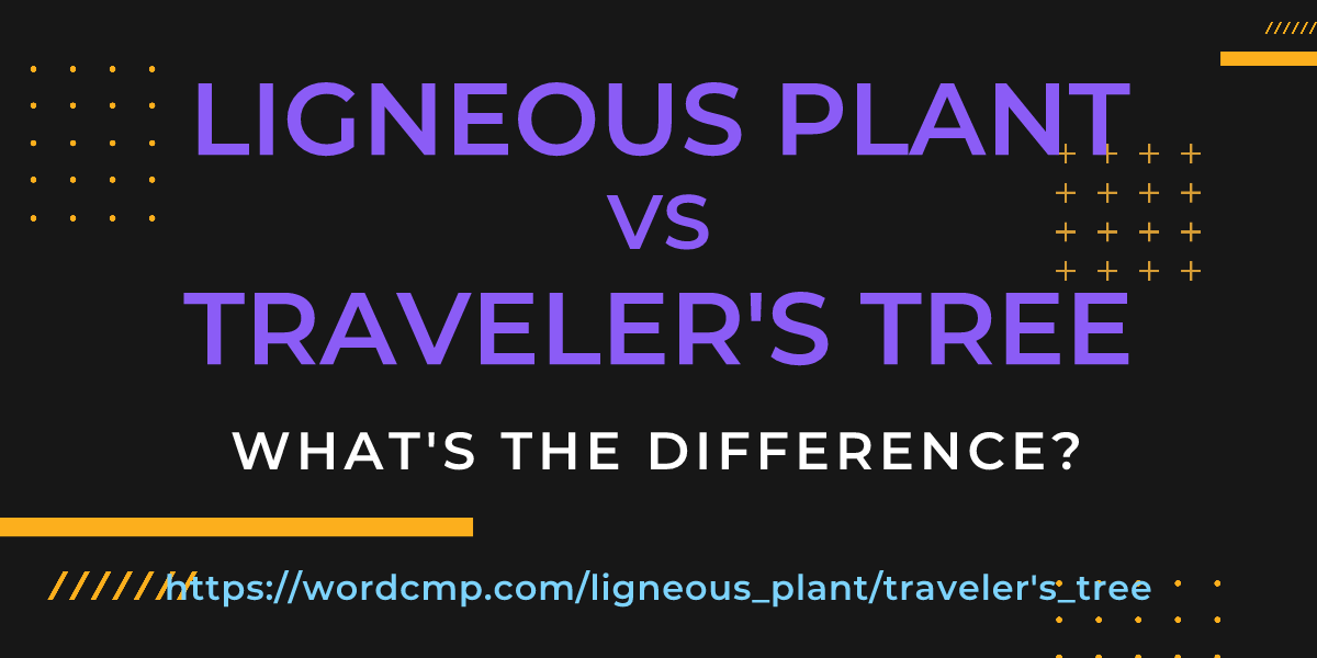 Difference between ligneous plant and traveler's tree