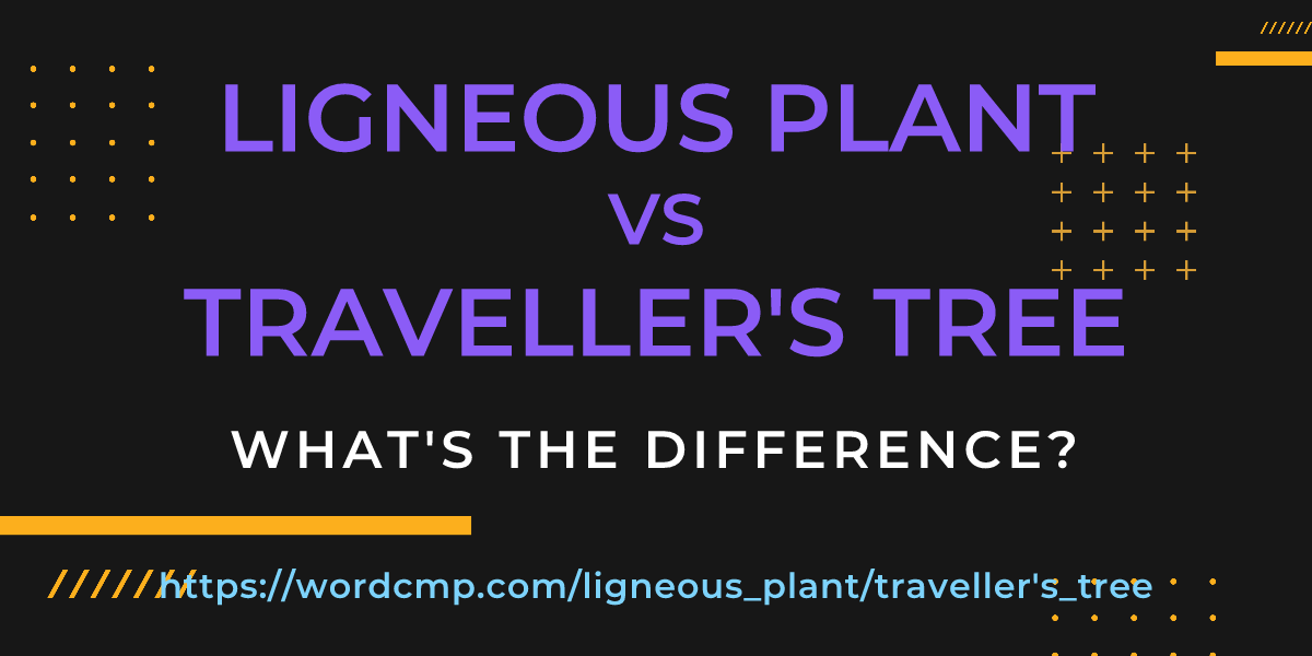 Difference between ligneous plant and traveller's tree