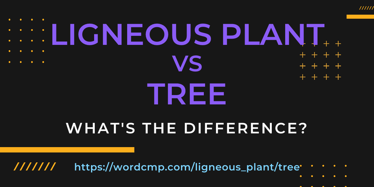 Difference between ligneous plant and tree