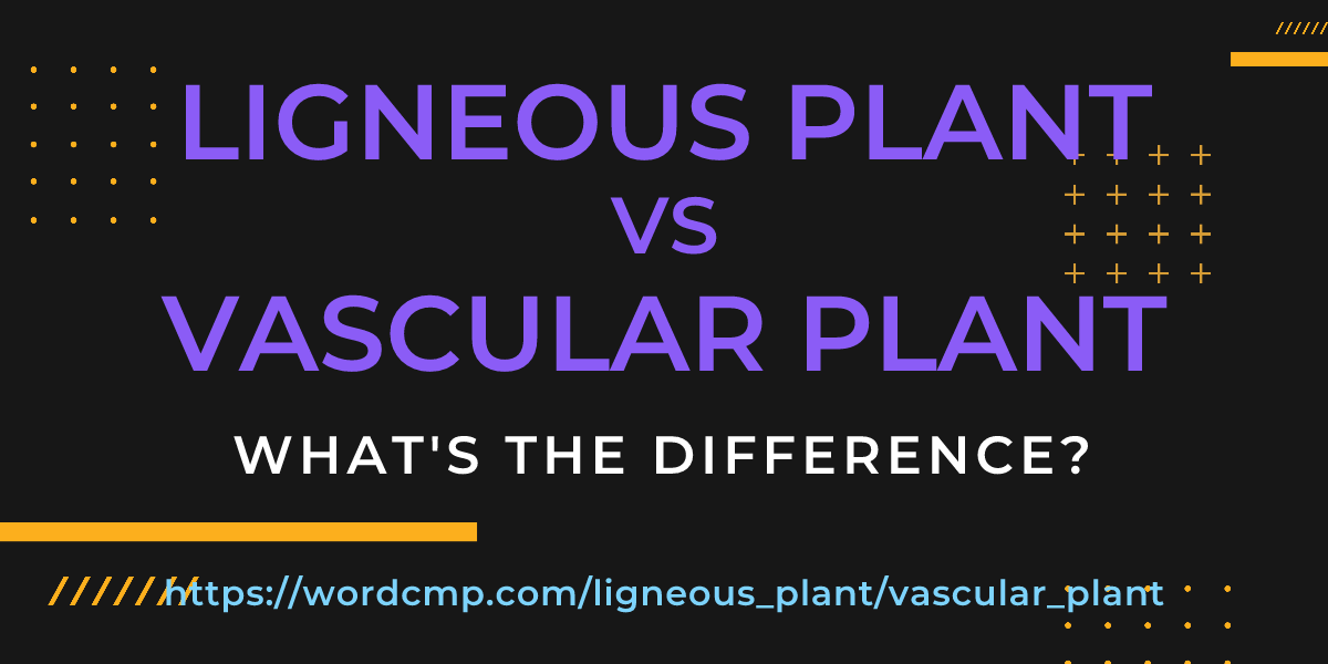 Difference between ligneous plant and vascular plant