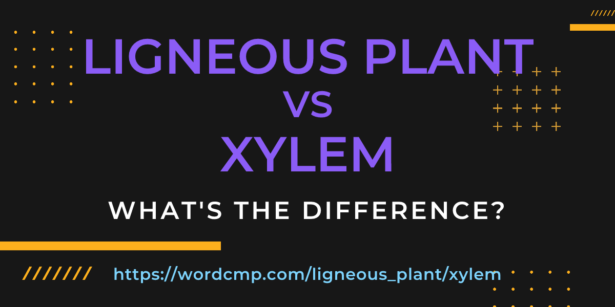 Difference between ligneous plant and xylem