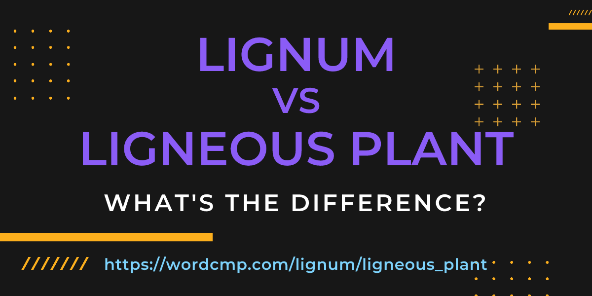 Difference between lignum and ligneous plant