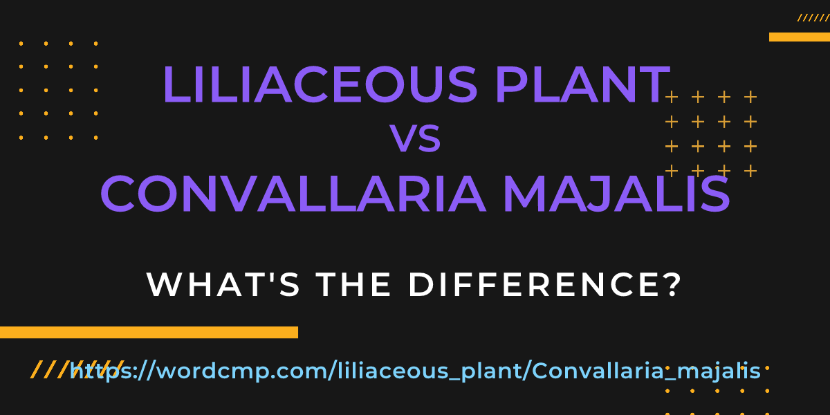 Difference between liliaceous plant and Convallaria majalis
