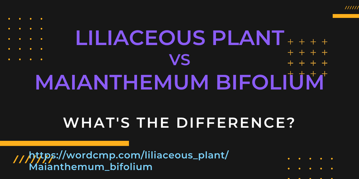 Difference between liliaceous plant and Maianthemum bifolium