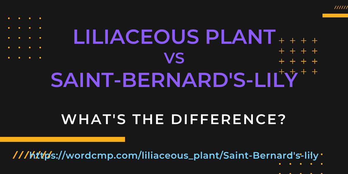 Difference between liliaceous plant and Saint-Bernard's-lily