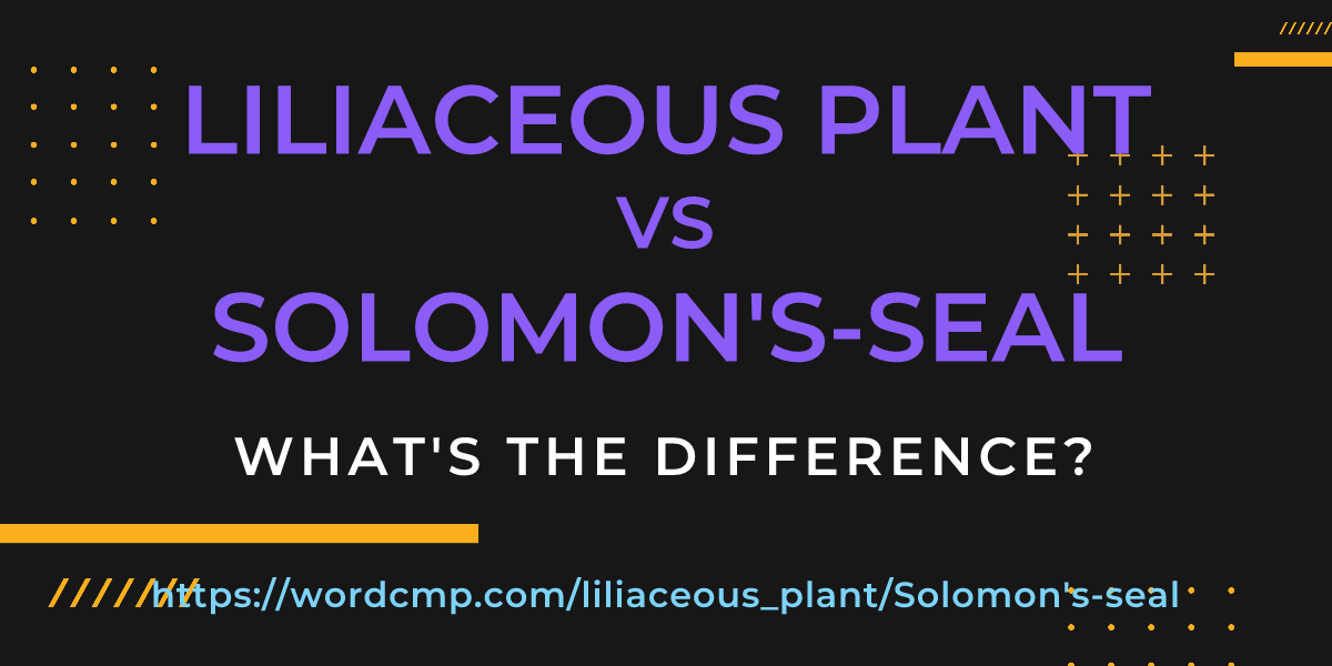 Difference between liliaceous plant and Solomon's-seal