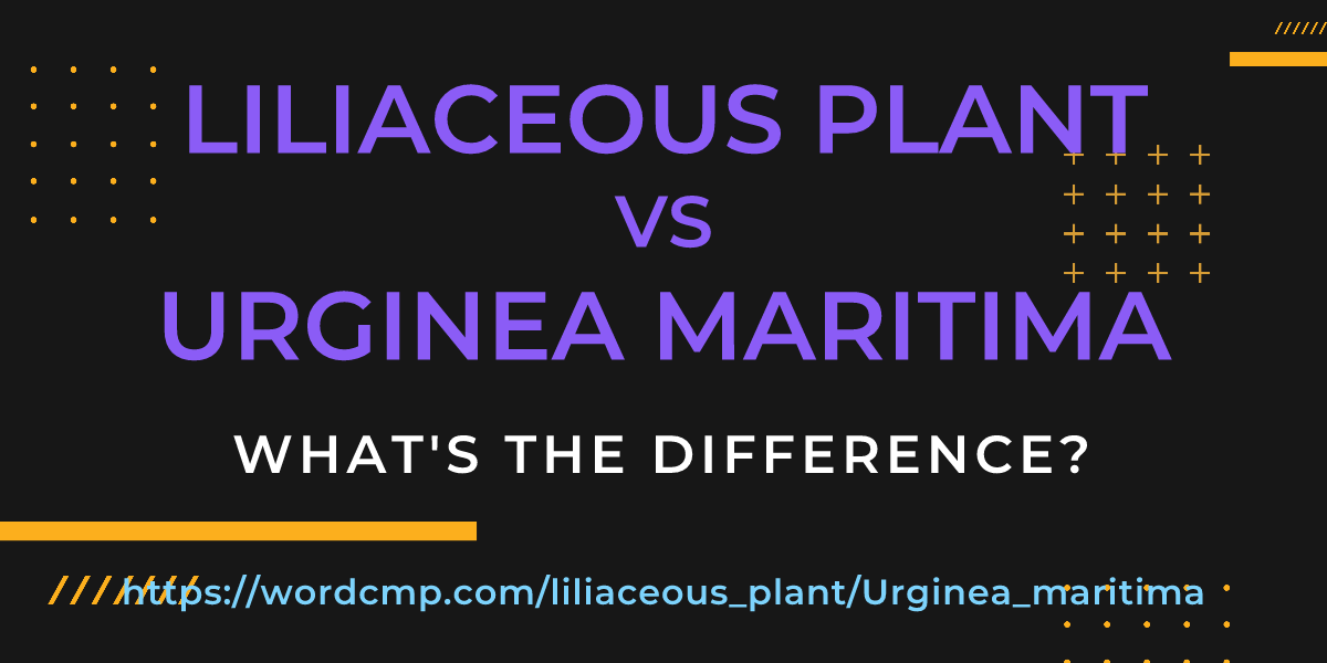 Difference between liliaceous plant and Urginea maritima