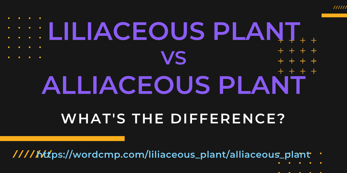 Difference between liliaceous plant and alliaceous plant