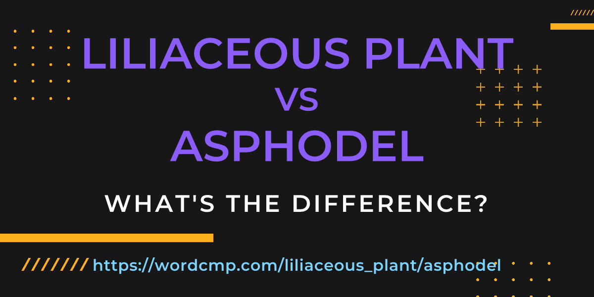 Difference between liliaceous plant and asphodel