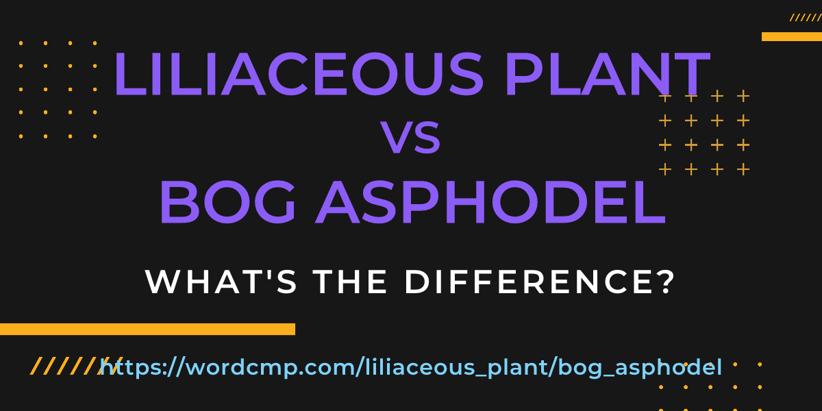 Difference between liliaceous plant and bog asphodel